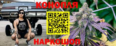 гашик Обь