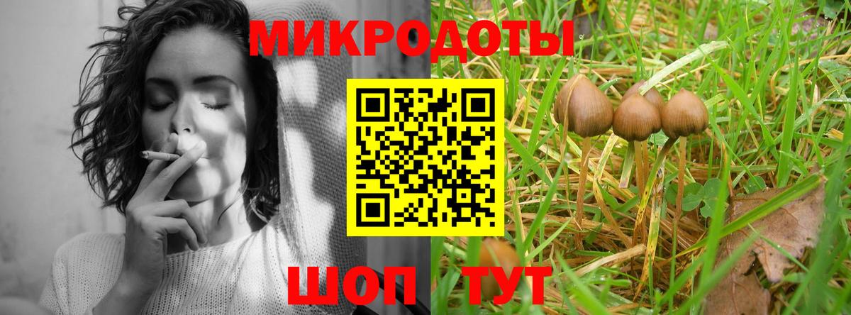 Псилоцибиновые грибы Psilocybine cubensis Тайшет